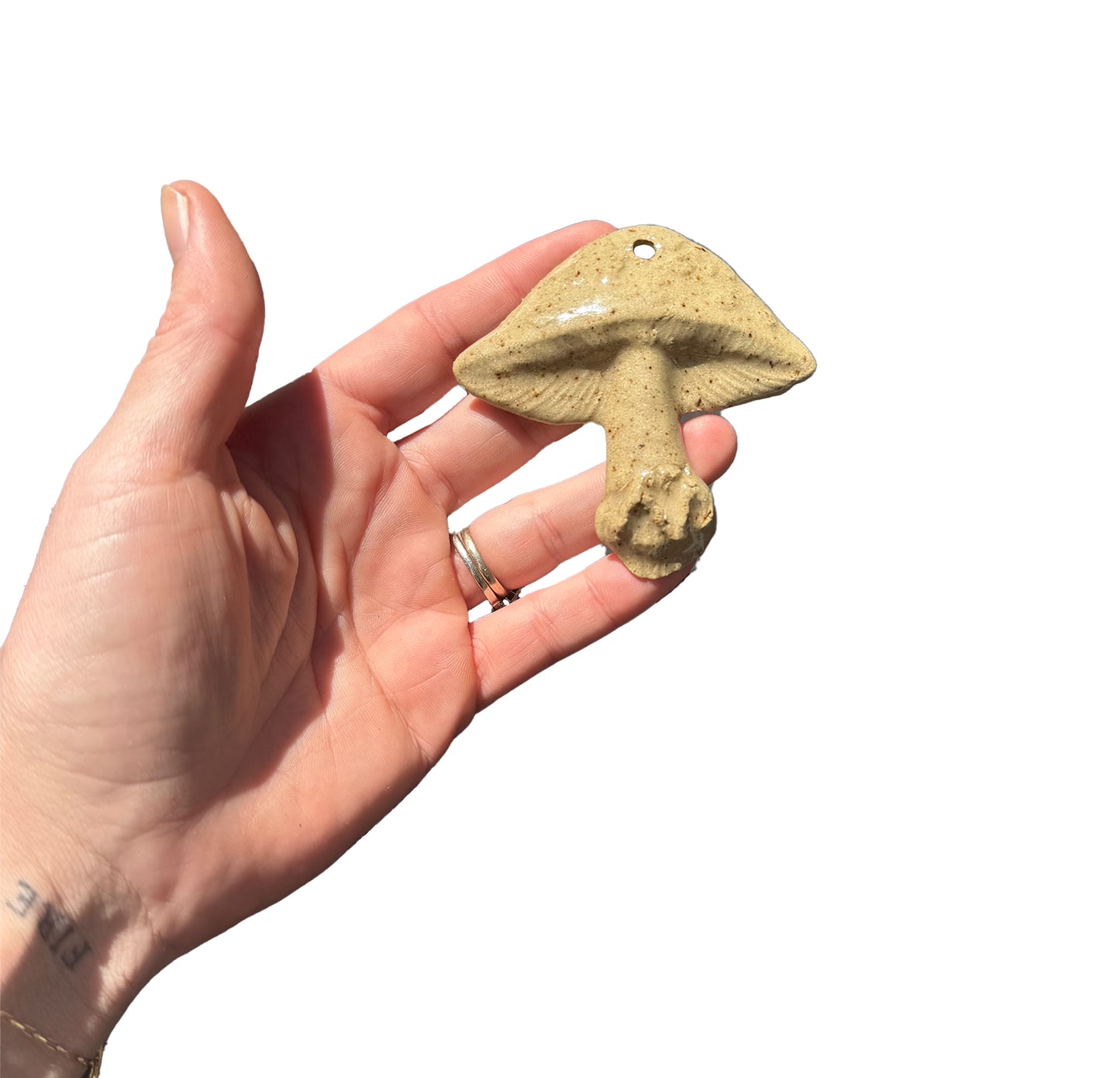 The Hanging Mushroom